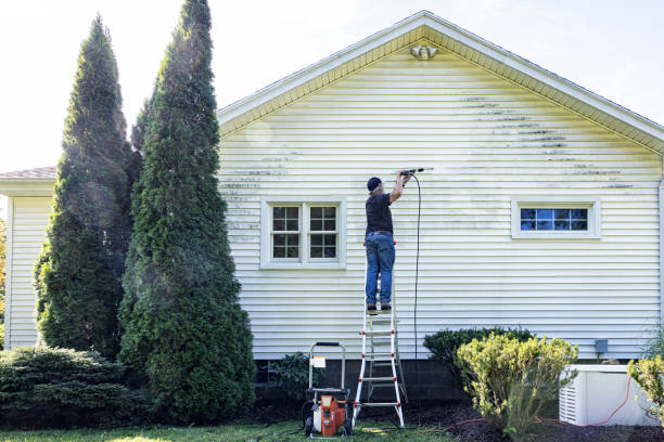 Best Patio and Deck Pressure Washing  in Sistersville, WV