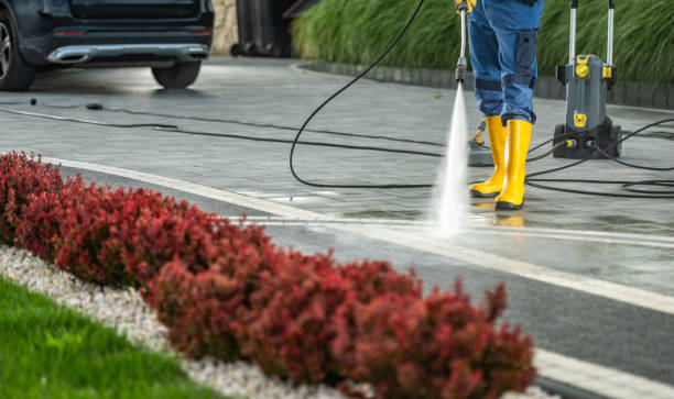Best Building Exterior Washing  in Sistersville, WV